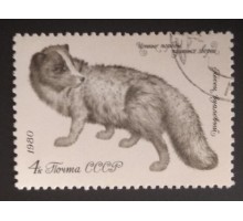 СССР 1980. 4 коп. Пушные звери 4 коп. 1980 (0303)