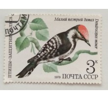 СССР 1979. 3 коп. Малый пестрый дятел (0366)