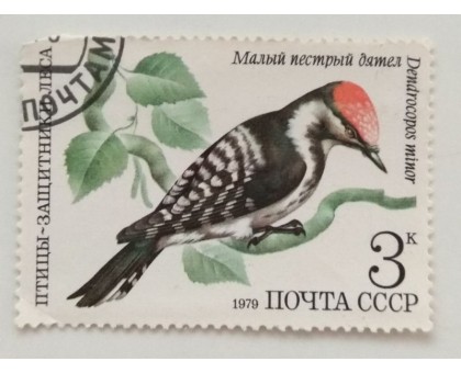 СССР 1979. 3 коп. Малый пестрый дятел (0366)