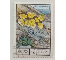 СССР 1975. 4 коп. Мак полярный (0368)
