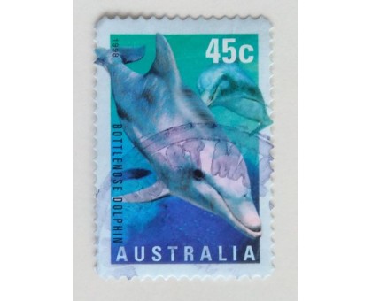 Австралия (766)
