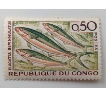 Конго 1961. Рыбы (1049)