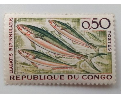 Конго 1961. Рыбы (1049)