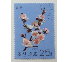 Северная Корея 1964. Цветы (1090)