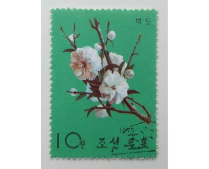 Северная Корея 1964. Цветы (1091)