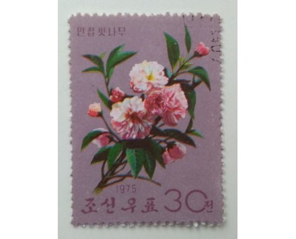 Северная Корея 1964. Цветы (1092)