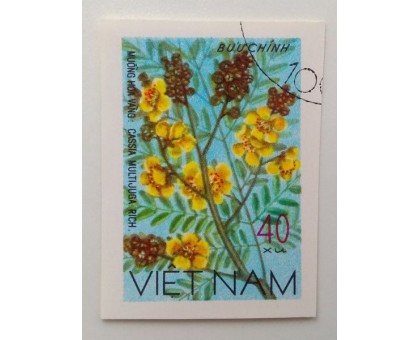 Вьетнам (1149)