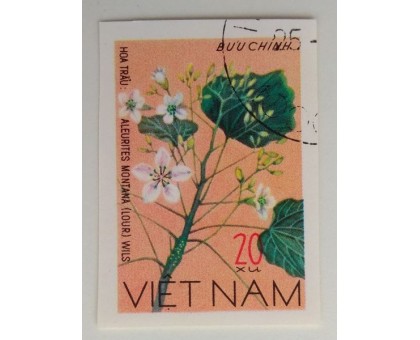 Вьетнам (1147)