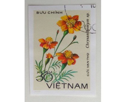 Вьетнам (1146)