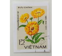 Вьетнам (1144)
