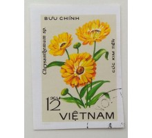 Вьетнам (1144)