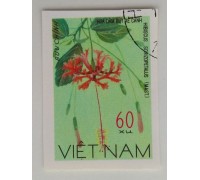 Вьетнам (1142)