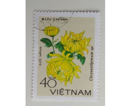 Вьетнам (1137)