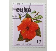 Куба 1978. Цветы (1116)