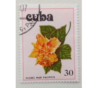 Куба 1978. Цветы (1117)
