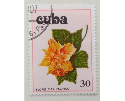 Куба 1978. Цветы (1117)