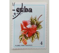 Куба 1978. Цветы (1118)