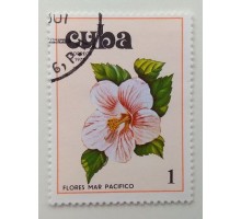 Куба 1978. Цветы (1119)
