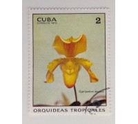 Куба 1972. Цветы (1098)
