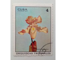 Куба 1972. Цветы (1103)