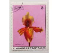 Куба 1972. Цветы (1104)