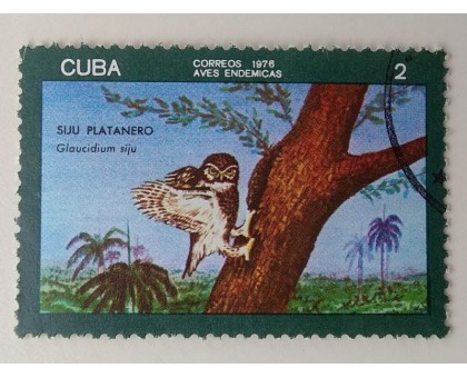 Куба 1976. Фауна (1106)