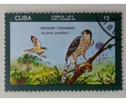 Куба 1976. Фауна (1108)