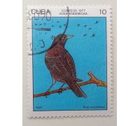 Куба 1977. Птицы (1112)