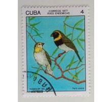 Куба 1977. Птицы (1113)