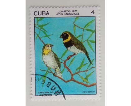 Куба 1977. Птицы (1113)