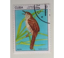 Куба 1977. Птицы (1114)