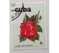 Куба 1978. Цветы (1120)