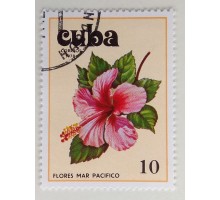 Куба 1978. Цветы (1121)