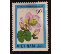 Вьетнам (1667)