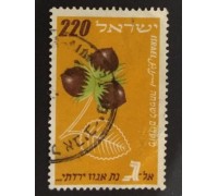 Израиль (1737)