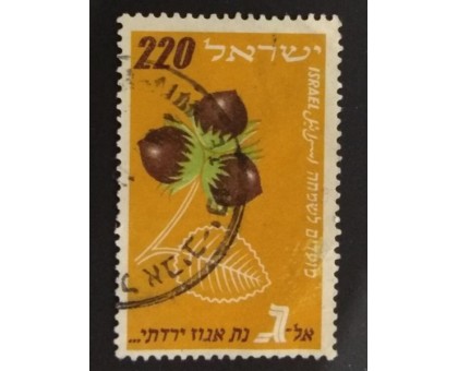 Израиль (1737)