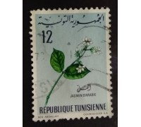 Тунис (1799)
