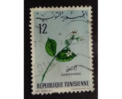 Тунис (1799)