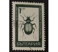 Болгария (2412)