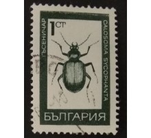 Болгария (2412)
