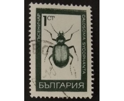 Болгария (2412)