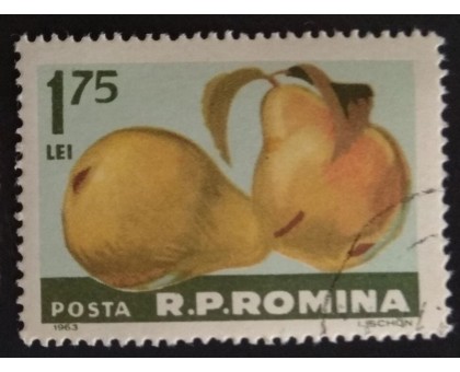 Румыния (2475)