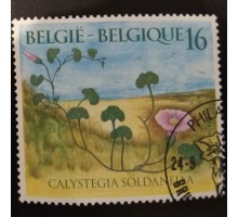 Бельгия (2519)