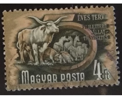 Венгрия (2611)