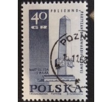 Польша (2946)
