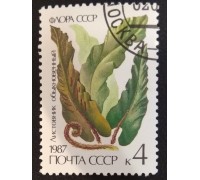 СССР (2926)