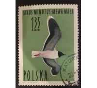 Польша (2998)
