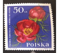 Польша (3014)