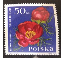 Польша (3014)