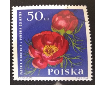 Польша (3014)
